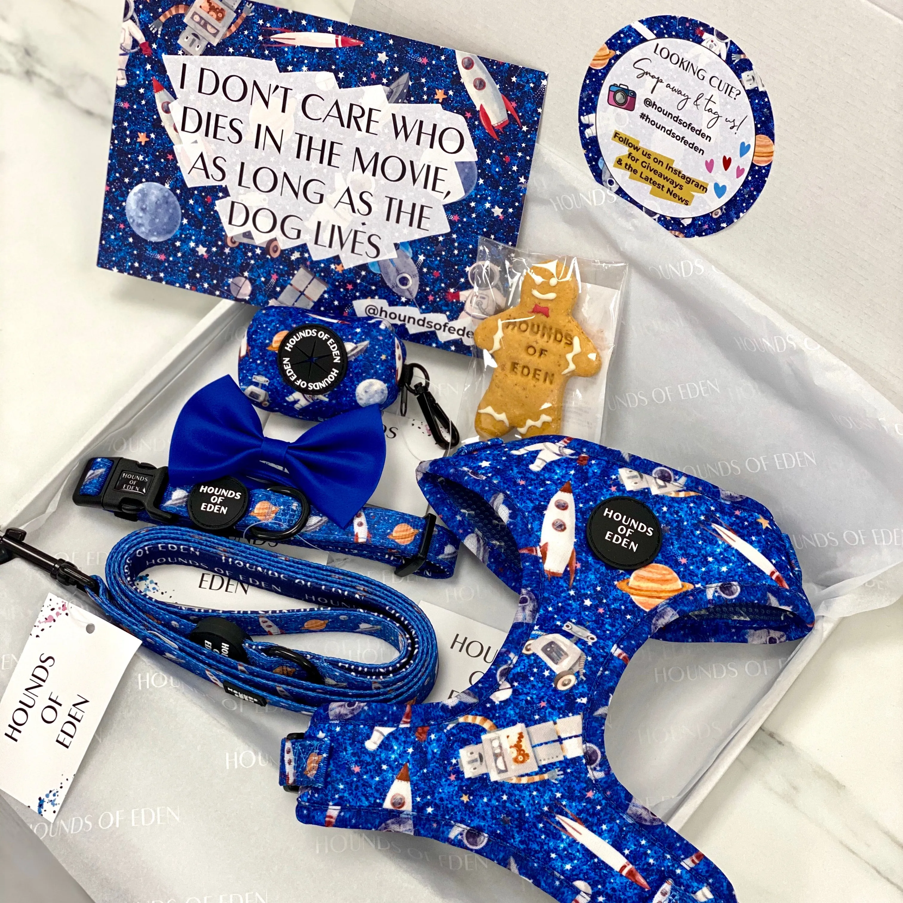 'Space Out' - Blue Starlight Space Pattern Poop/Treat Bag Holder