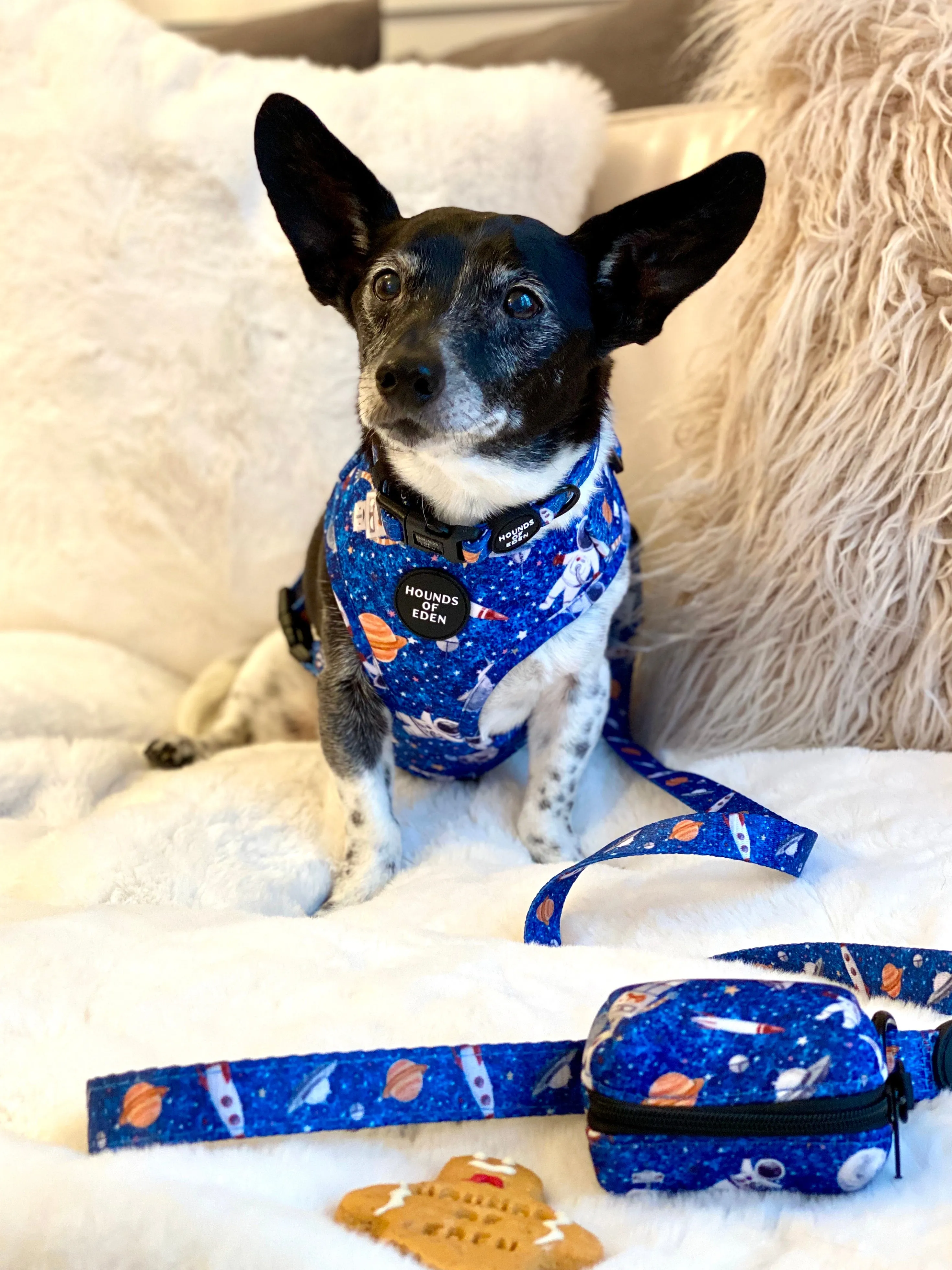 'Space Out' - Blue Starlight Space Pattern Poop/Treat Bag Holder