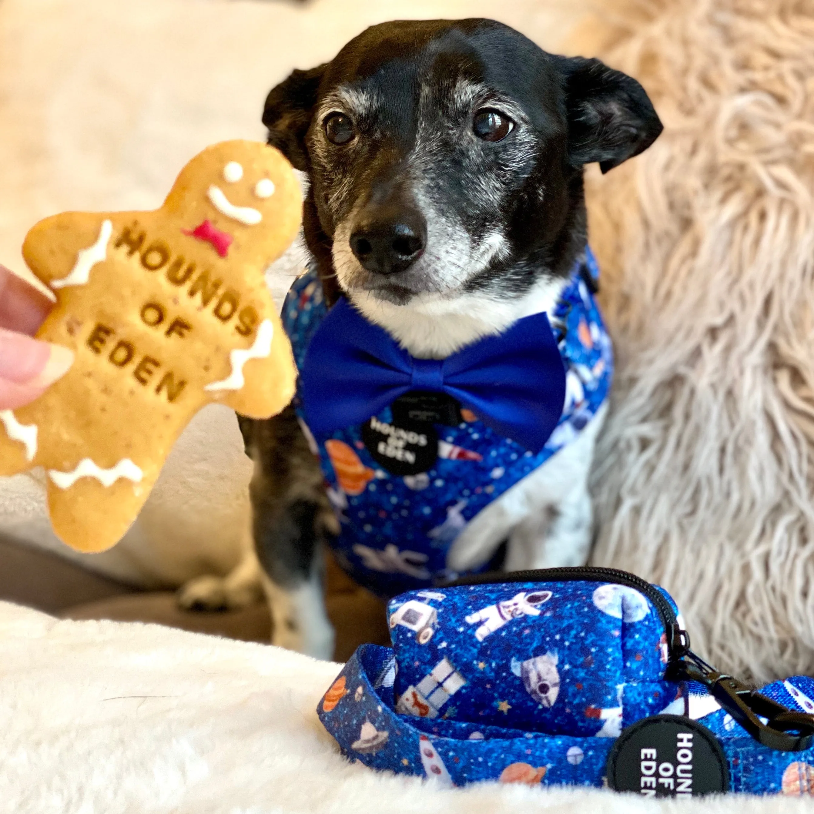'Space Out' - Blue Starlight Space Pattern Poop/Treat Bag Holder